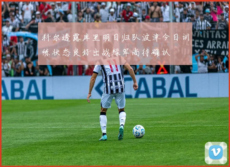 科尔透露库里明日归队波津今日训练状态良好出战绿军尚待确认