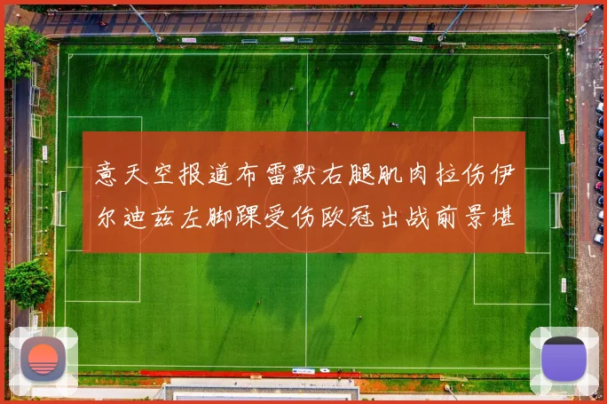 意天空报道布雷默右腿肌肉拉伤伊尔迪兹左脚踝受伤欧冠出战前景堪忧