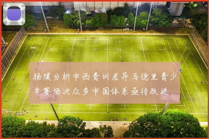 杨璞分析中西青训差异马德里青少年赛场次众多中国体系亟待改进