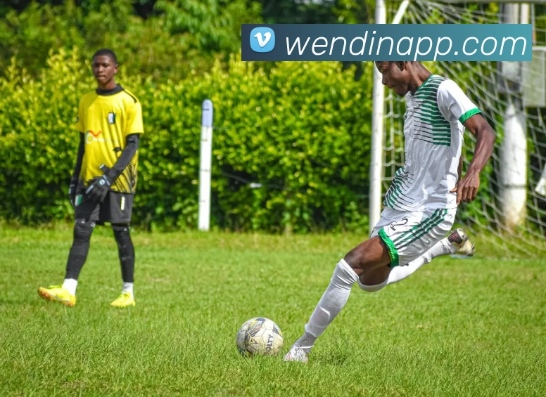 App Interface Preview